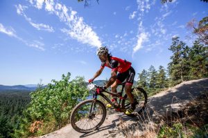 ejercicios de gimnasio para ciclismo